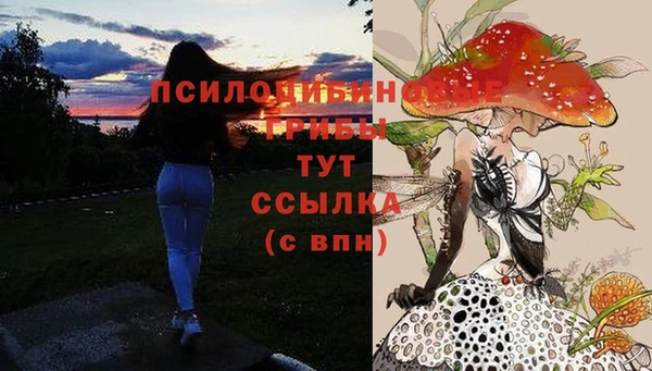 Альфа ПВП Алексеевка