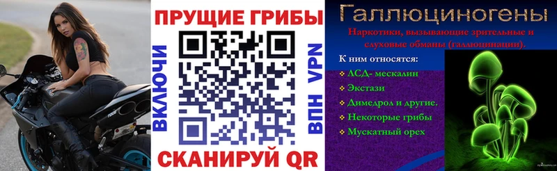 Галлюциногенные грибы Psilocybine cubensis Чапаевск