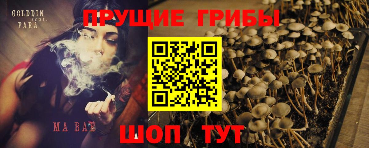 Псилоцибиновые грибы ЛСД  Вход с VPN  Псилоцибиновые грибы GOLDEN TEACHER  Чапаевск 