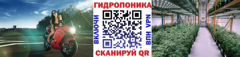 Шишки марихуана гибрид  Чапаевск 